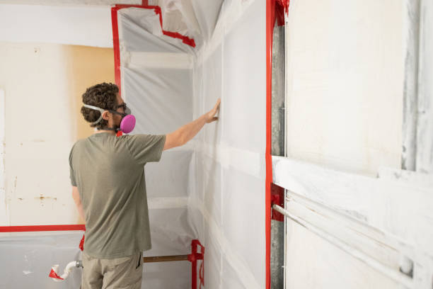 Best Basement Mold Removal  in Corcoran, MN