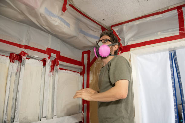 Professional Mold Removal in Corcoran, MN