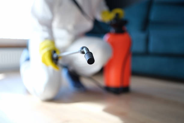Best Mold Remediation for Healthcare Facilities  in Corcoran, MN