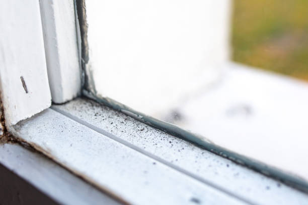 Best Air Quality Testing for Mold Spores  in Corcoran, MN