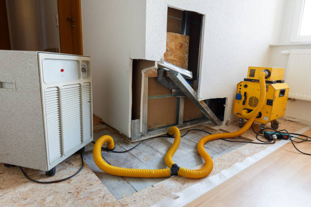 Best Asbestos and Lead Testing During Mold Inspection  in Corcoran, MN